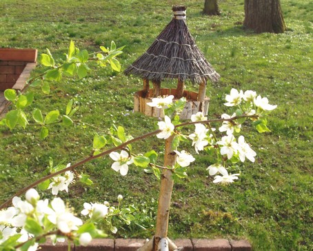 Mangeoire à oiseau au gîte en alsace